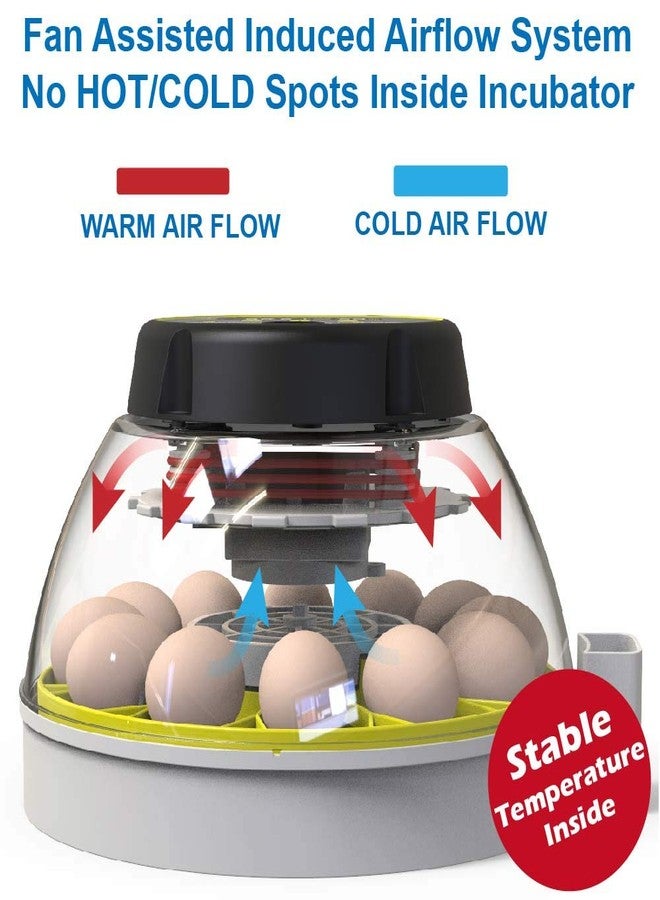 KEBONNIXS 12 Egg Incubator with Humidity Display, Egg Candler, Automatic Egg Turner, for Hatching Chickens - Image 2